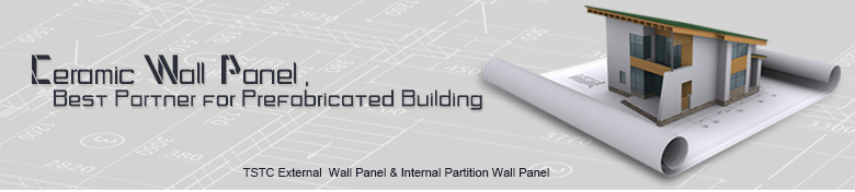 Advantages of TSTC Wall Panel(图1)